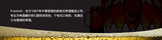 德国原装进口狮王精制黑啤品牌说明